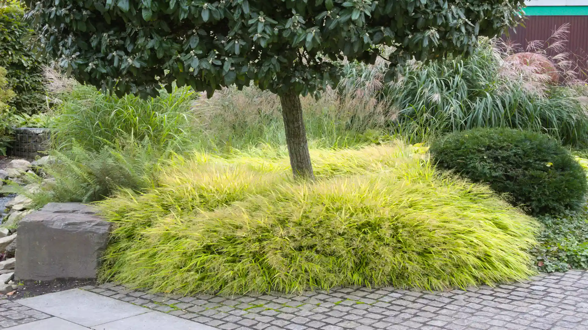 Gräser richtig pflanzen