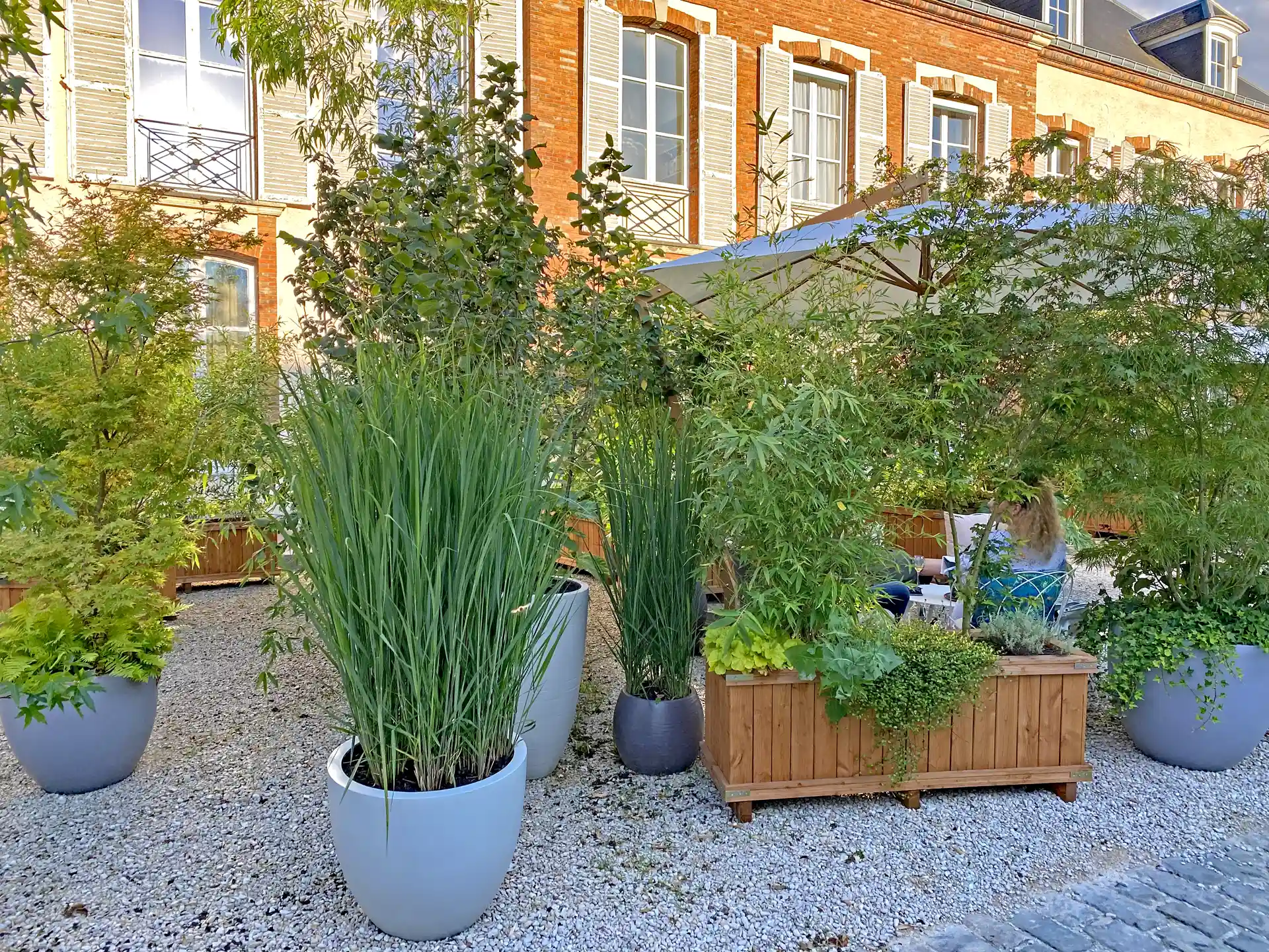 Gräser im Kübel - stilvolle Ideen für Terrasse & Balkon Rutenhirse Panicum virgatum Northwind im Pflanzkübel auf Terrasse vor Gebäude.