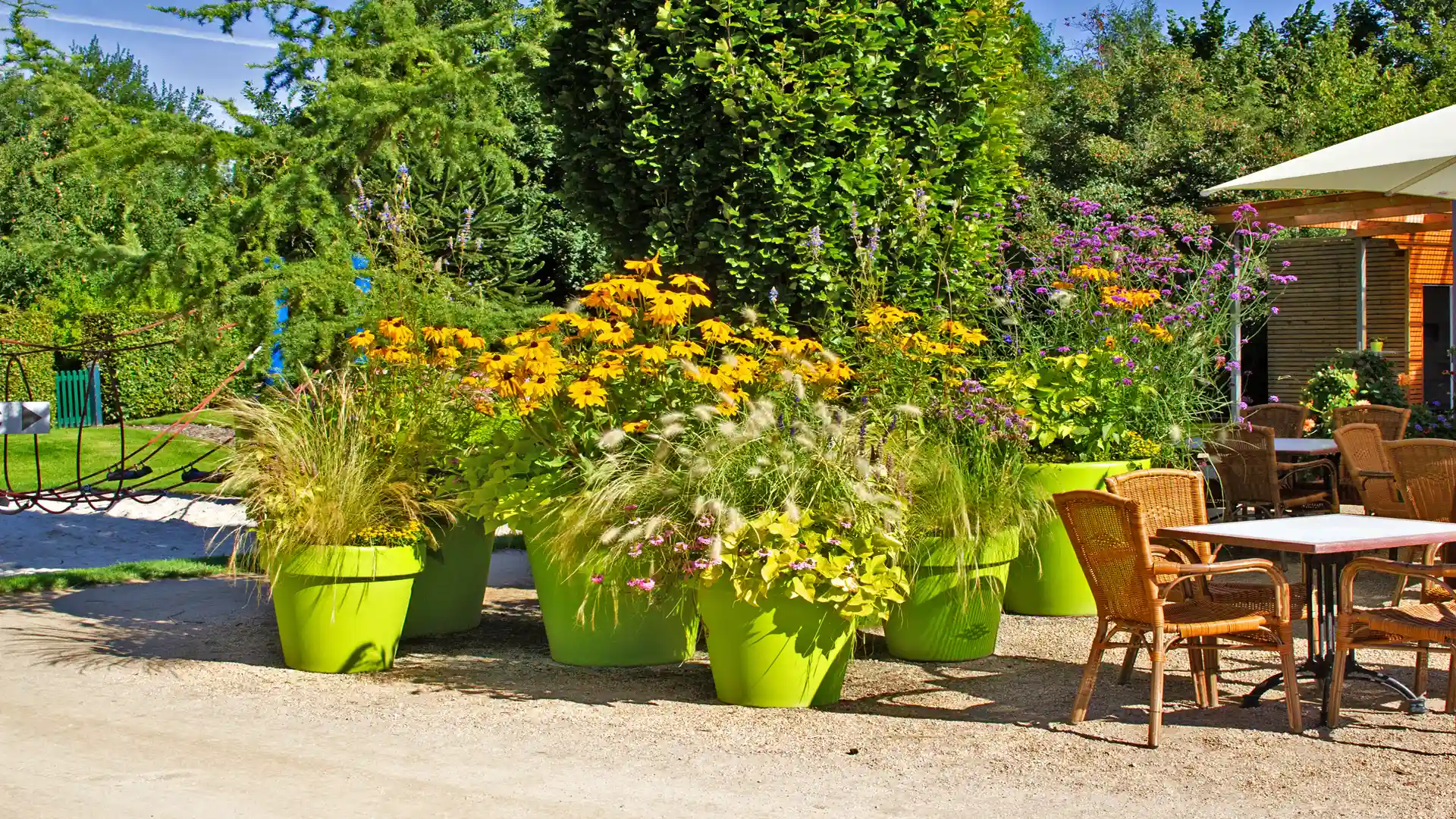 Gräser richtig gießen: Wie Sie Trockenstress im Sommer vermeiden