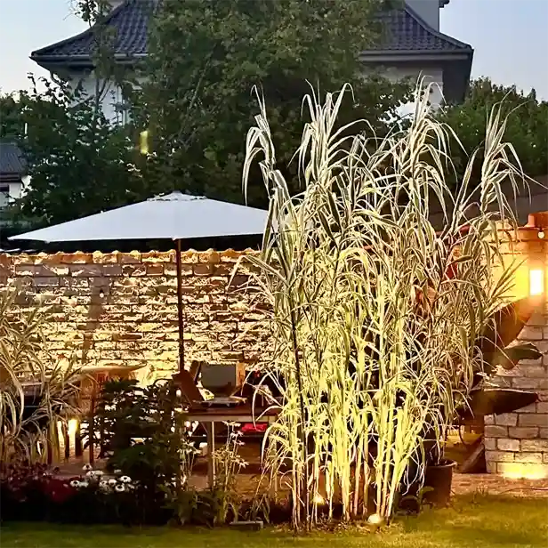 D4236D88-18C9-4A61-87E9-8B066681CD15_1_201_a 616x616