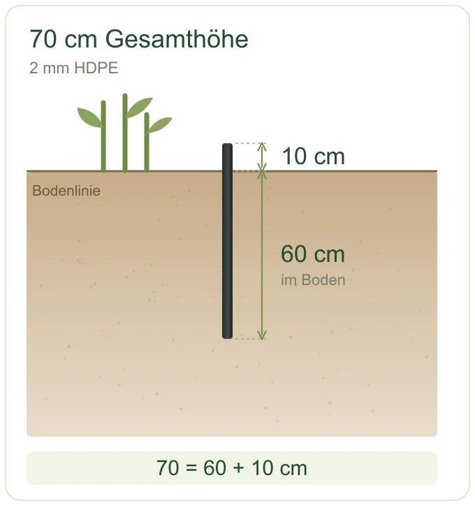 70 cm Gesamthöhe: 60 cm im Boden und 10 cm sichtbarer Kontrollrand.