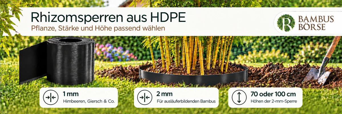 HDPE-Wurzelsperren: 1 mm für Himbeeren, Giersch & Co.; 2 mm für ausläuferbildenden Bambus