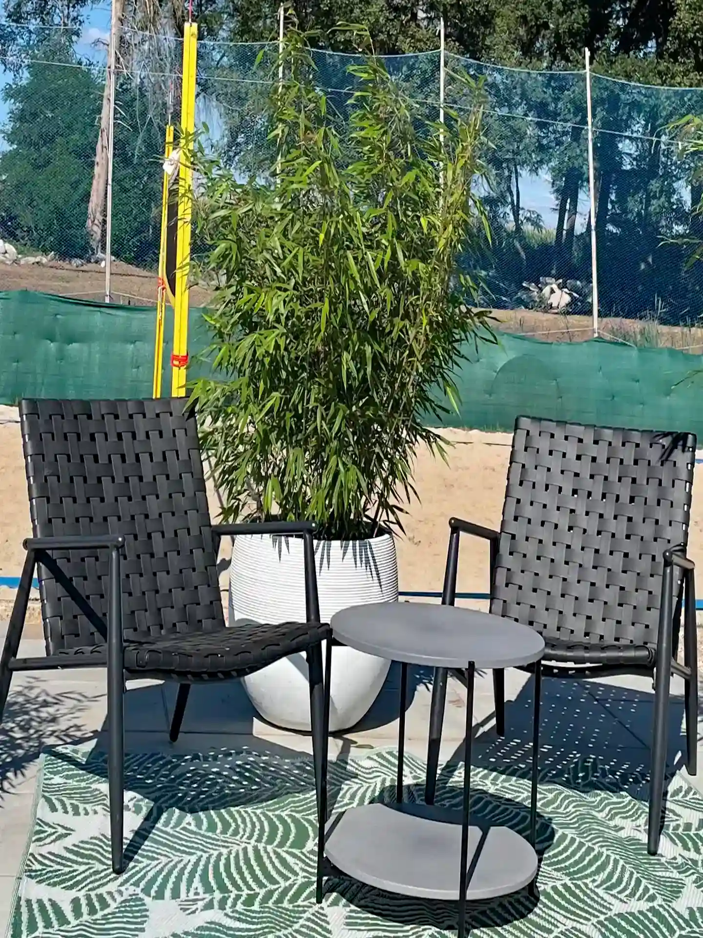 Fargesia Rufa Sunbird im Pflanzkübel auf Terrasse - ideal als dekorativer Sichtschutz auf Balkon oder Patio.