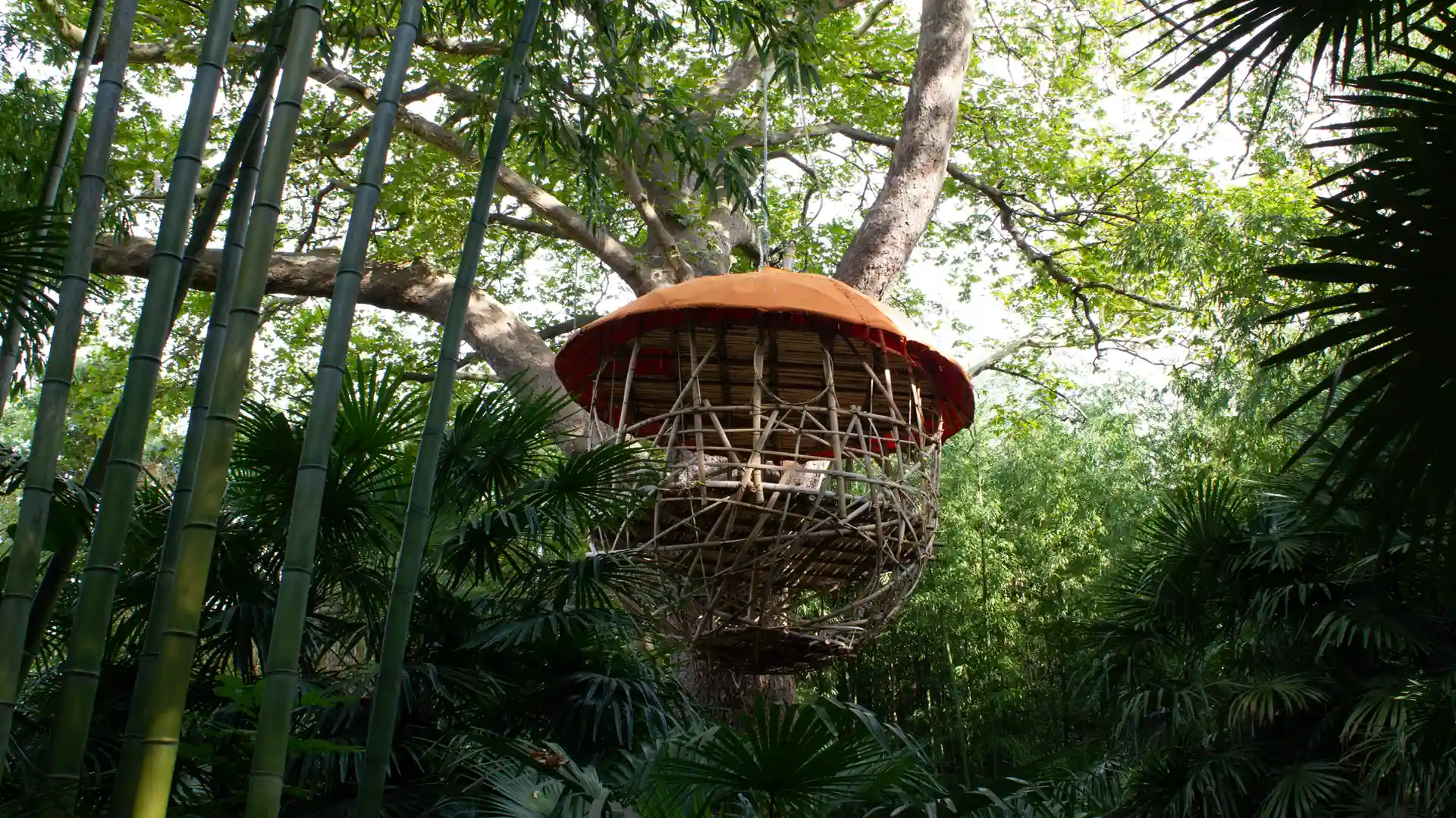Ein Baumhaus aus Bambushalmen inmitten von Bambuspflanzen