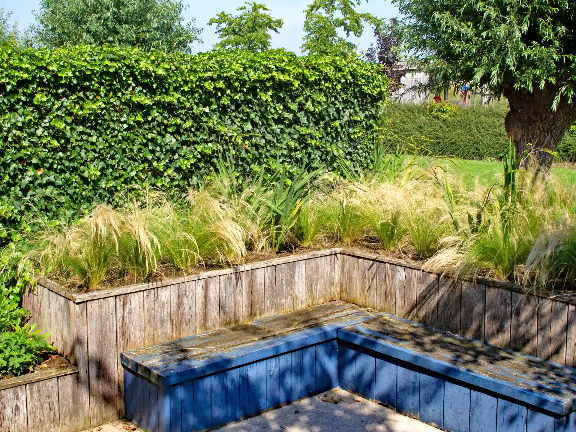 Stipa tenuissima 'Pony Tails' in erhöhter Pflanzung aus Holzhochbeeten mit Wasserbecken im modernen Garten.