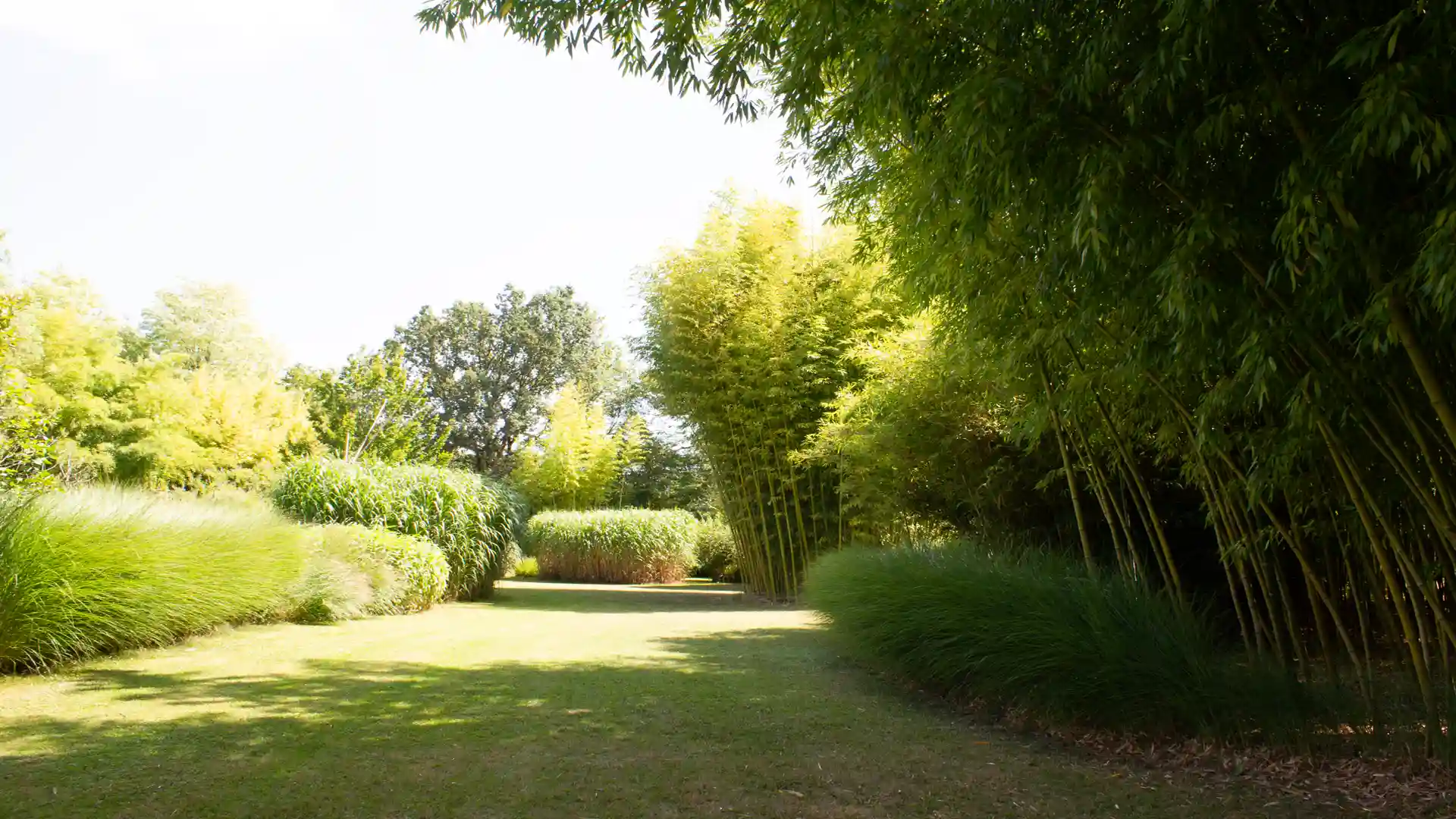 Ein grüner Gartenweg umgeben von dichten Bambussträuchern und anderen grünen Pflanzen, mit leichtem Lichteinfall durch die Baumkronen.