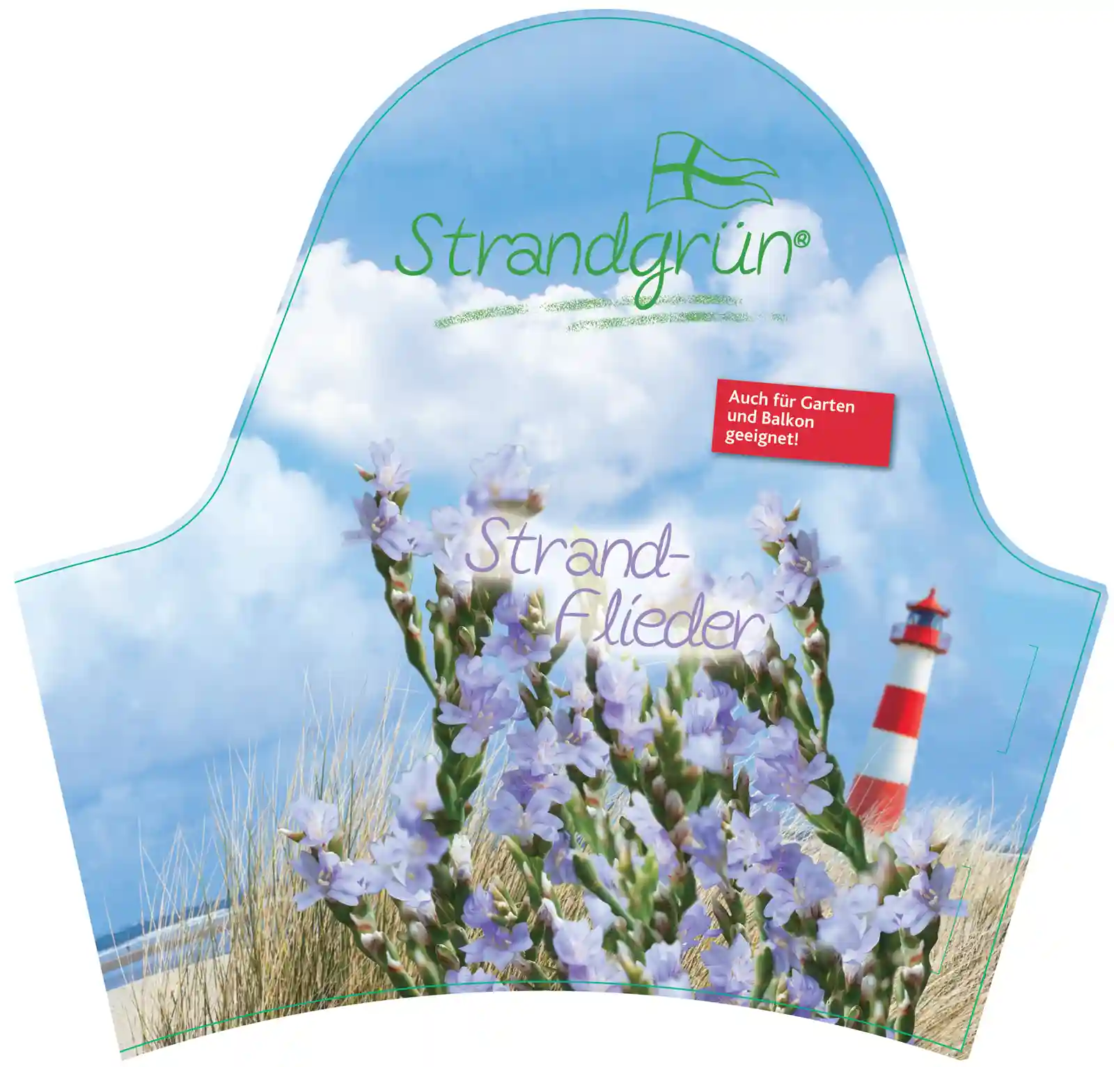 Strandflieder