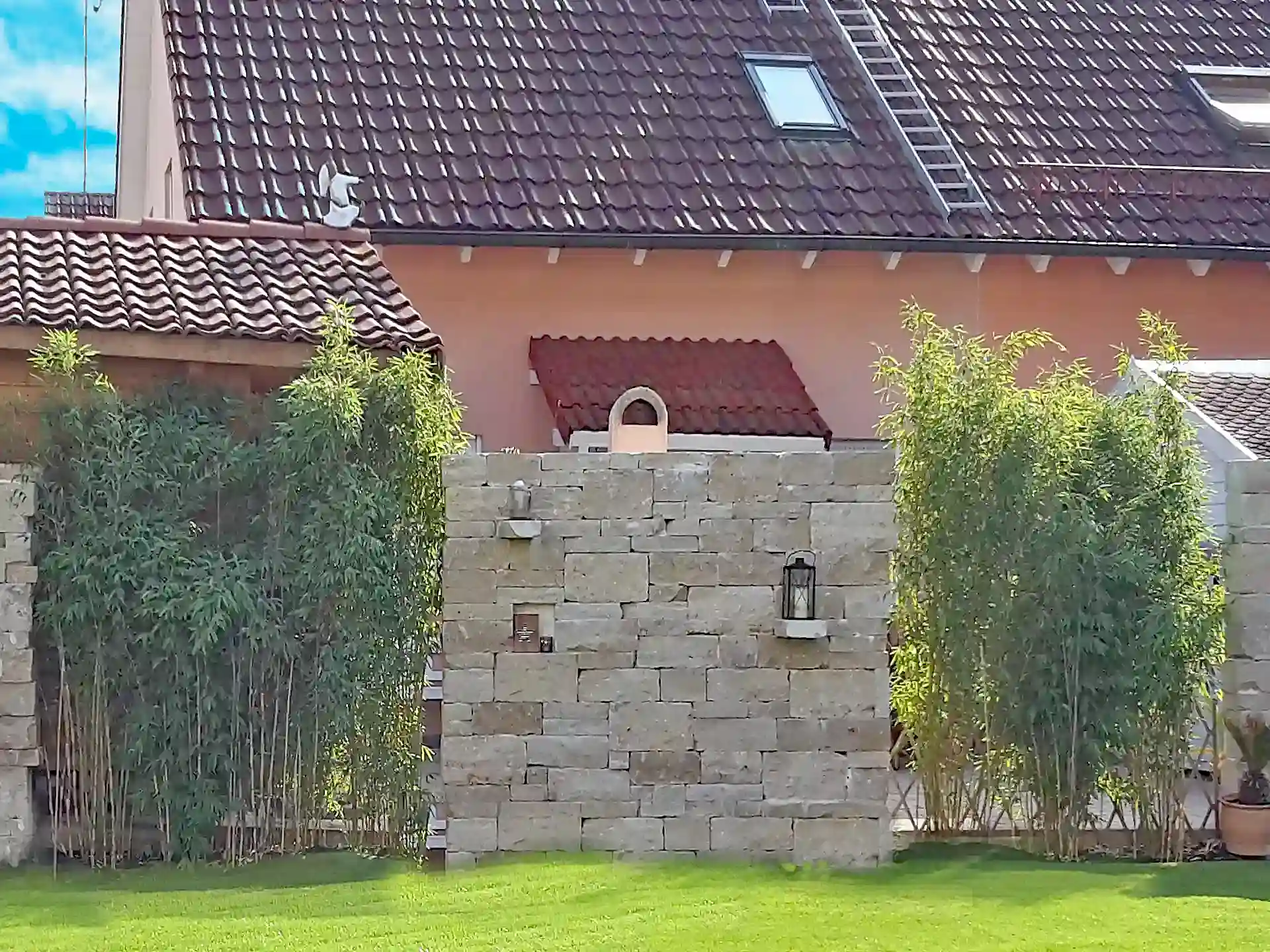 Bambus Fargesia 'Maasai'® Bambus Fargesia 'Maasai' als natürlicher Sichtschutz vor Hauswand in Kombination mit Steinmauer - pflegeleichter Bambus für Vorgarten, Terrasse und Grundstückgrenzen.