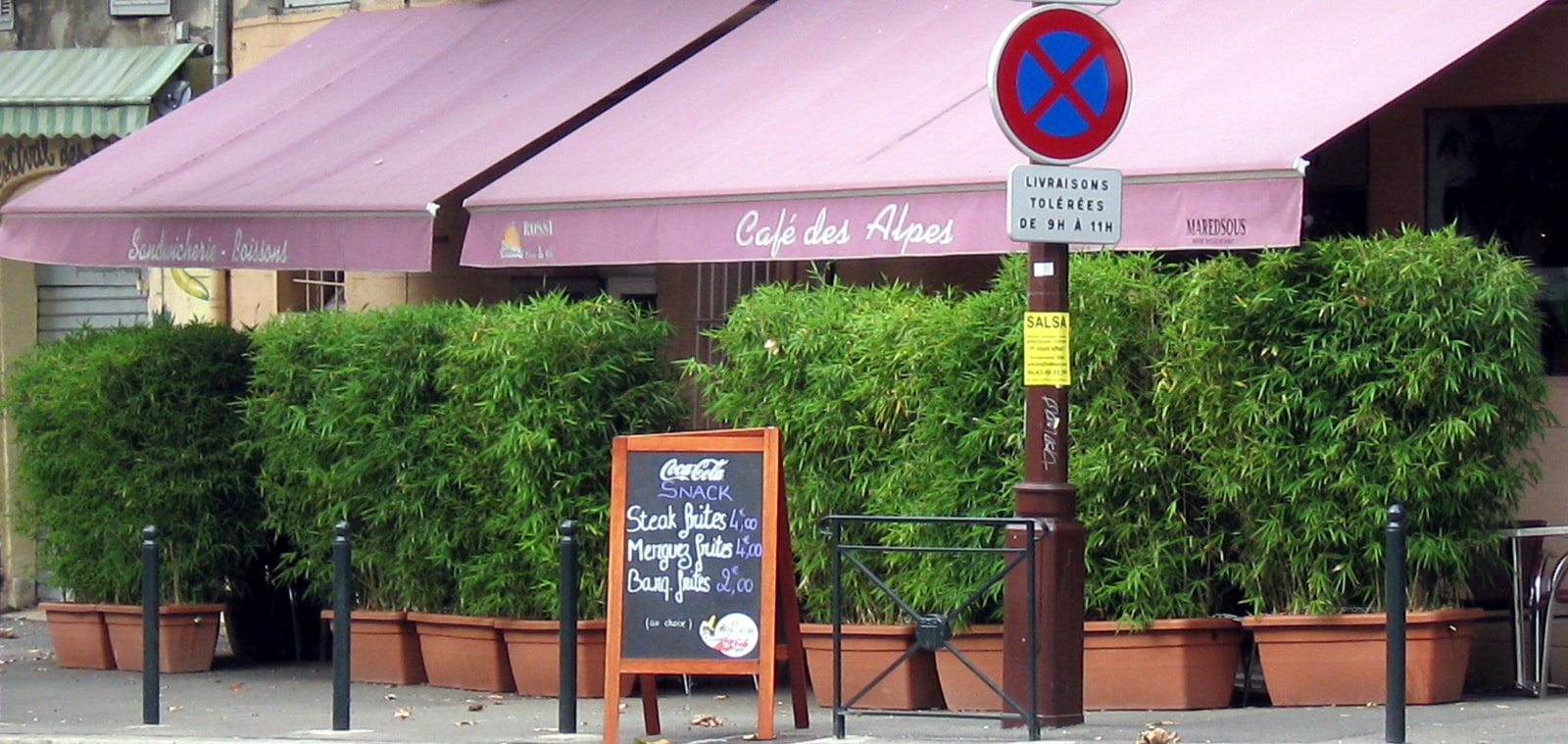 Pflanzkübel aus/mit Bambus, der mobile Sichtschutz