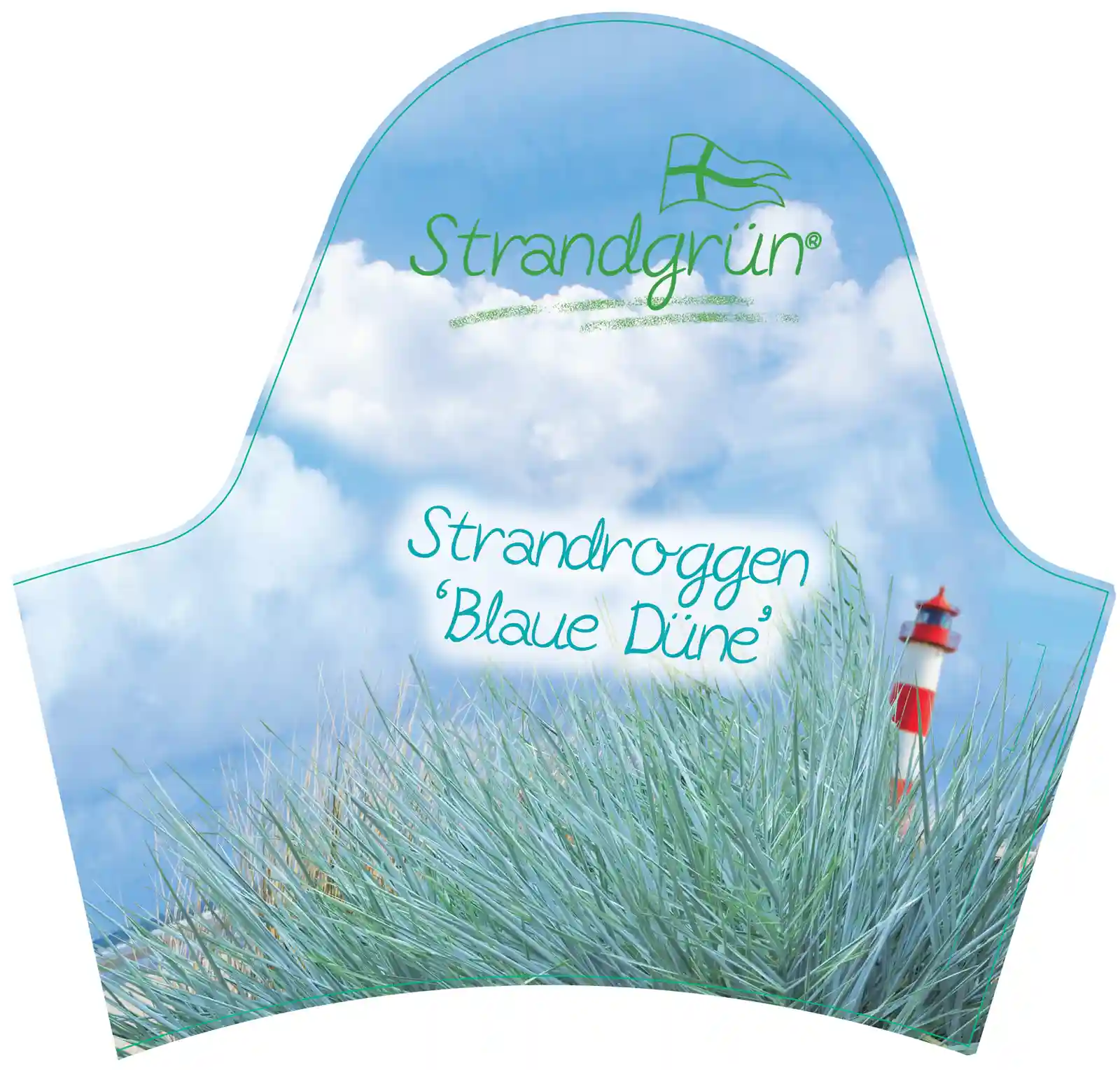 Strandroggen Leymus arenarius 'Blaue Düne'* Pflanzenetikett Strandroggen Blaue Düne mit kräftigen Halmen und maritimer Hintergrundgestaltung.