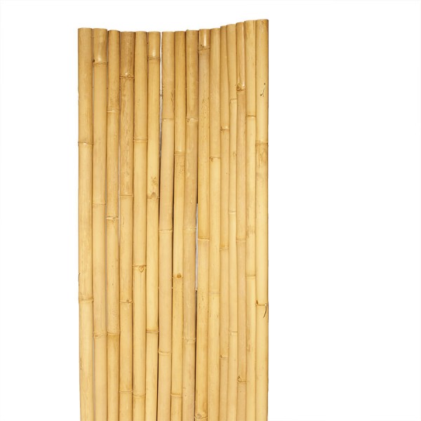 Bambusrollzaun Apus