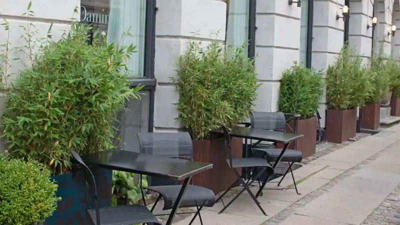 Außenbereich eines Cafés mit mehreren kleinen Tischen und Stühlen auf einem Gehweg. Große Pflanzkübel mit grünen Pflanzen stehen als Trennwände zwischen den Sitzbereichen. Graue Gebäudefassade im Hintergrund.
