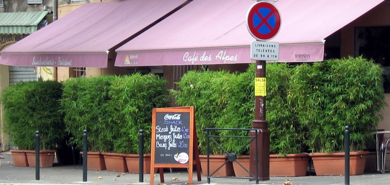 Bambus im Kübel als Sichtschutz in der Gastronomie.